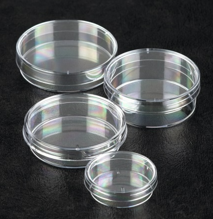 Thermo Scientific™ Sterilin™ Standard Petri Dishes
